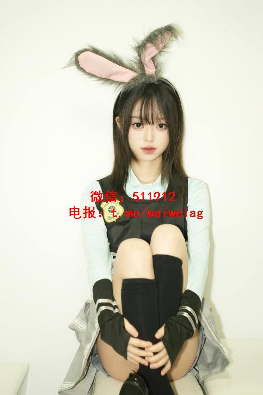 兔子警官Judy