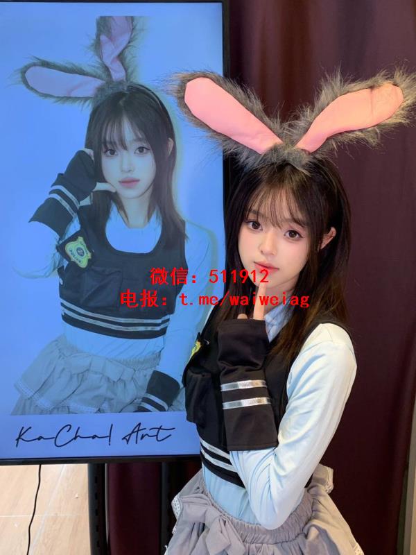 兔子警官Judy