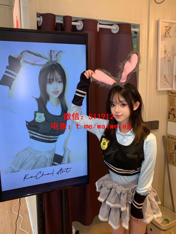 兔子警官Judy