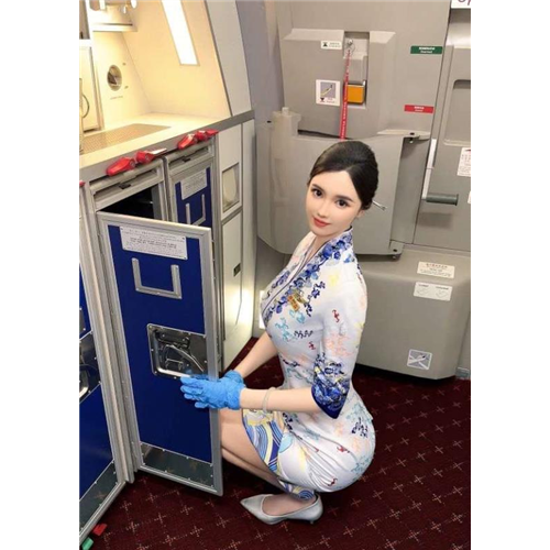 成熟气质空姐夏凛